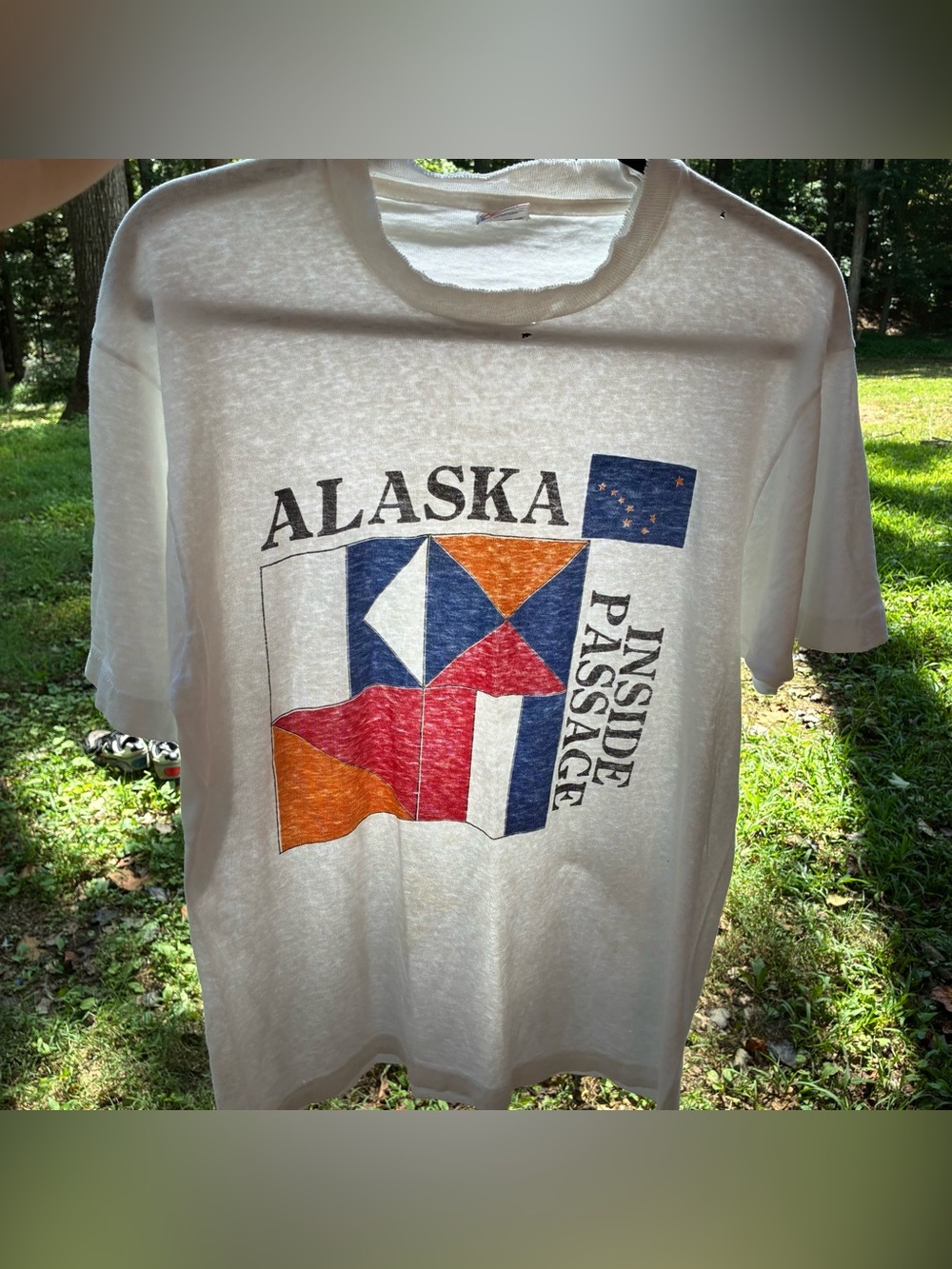 Vintage 90s Alaska Paper Thin Inside Passage Nature Graphic Tee Shirt Large Worn